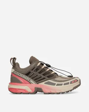 ACS Pro Sneakers Falcon / Corail Sucré