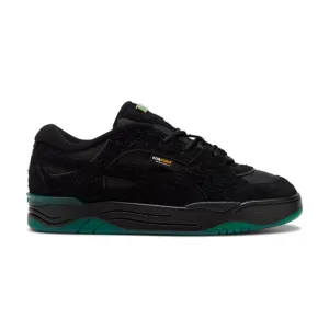   Carottes 180 'Noir'