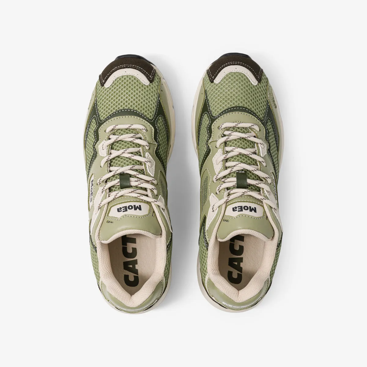 GEN8 Sneaker en Aloe Cactus de MoEa
