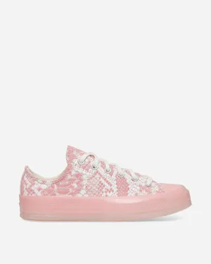 GOLF WANG Chuck 70 Python Sneakers Rose